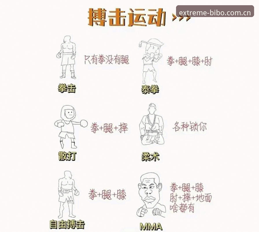必博体育功能对比 必博体育功能对比操作教程:从新手到达人的实战指南